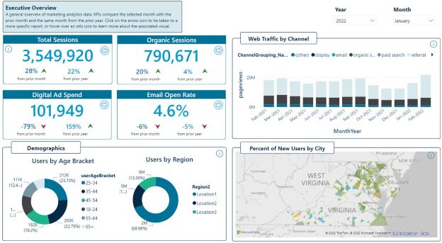 executive dashboard